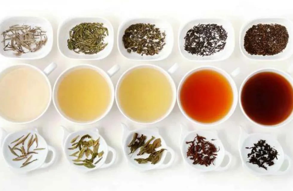 Los beneficios de tomar té en hebras como La Joaqui