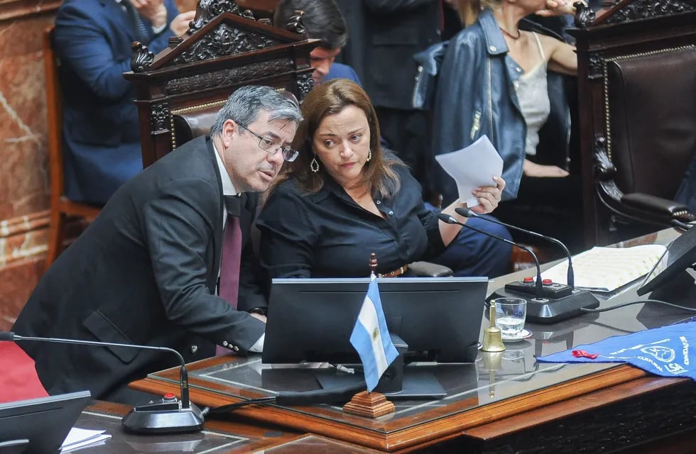 Juntos por el Cambio no acompañará la reelección de Cecilia Moreau como presidenta de la Cámara de Diputados (Foto: Federico López Claro)