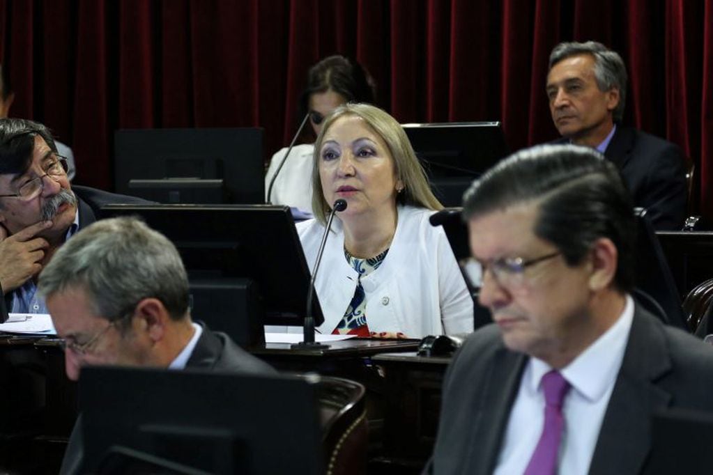 Senadora por Jujuy Silvia Giacoppo