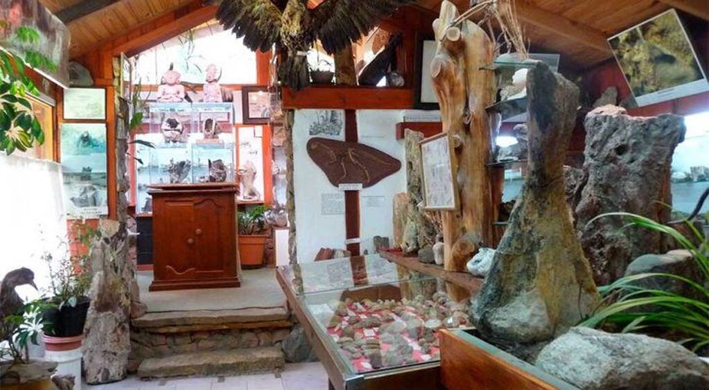 El Museo Geológico y Paleontológico “Dr. Rosendo Pascual” de Bariloche funciona desde hace 23 años.