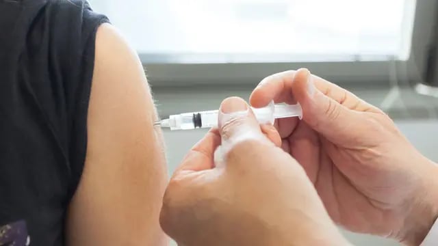 Campaña de vacunación contra la Fiebre Hemorrágica Argentina en Zavalla