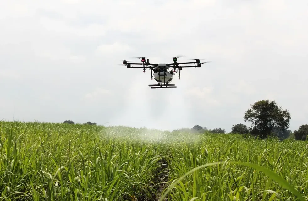 Evolución. El uso drones, apoyados en plataformas con inteligencia artificial, permiten aplicaciones más eficientes para mejorar la productividad de los cultivos. (Vía País)