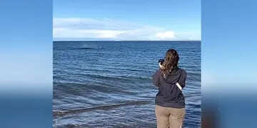ballenas en Puerto Madryn