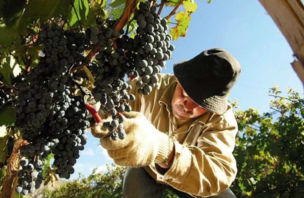 Crecen con fuerza las exportaciones de vino argentino. (Secretaría de Agroindustria)