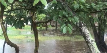 Lluvia en Iberá
