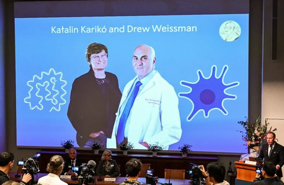 La bioquímica húngara Katalin Karikó y el investigador estadounidense Drew Weissman son premio Nobel de Medicina. Foto: La Voz