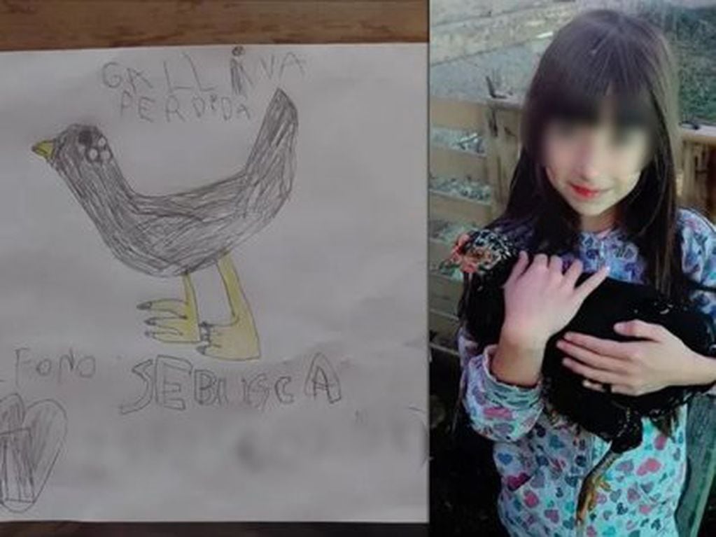Una niña encontró a su gallina mediante un dibujo