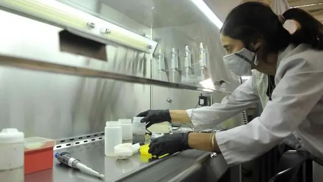 Coronavirus en Pérez: 13 casos nuevos reportados