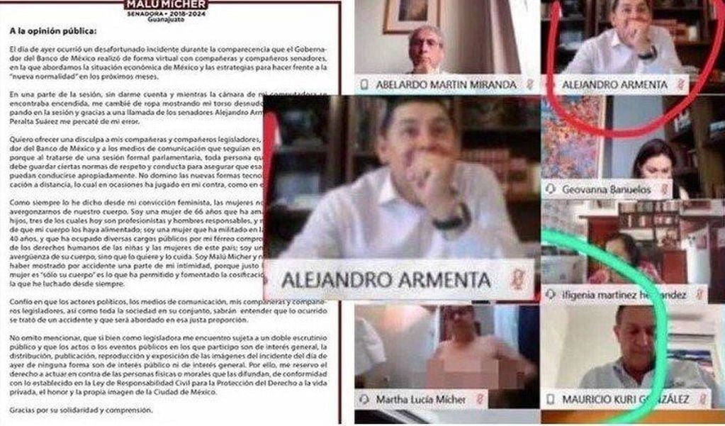 Descuido virtual de una senadora mexicana (Web)