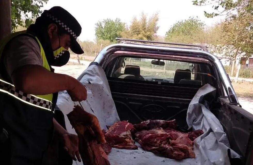 Los Romanos: secuestran 400 kilos de carne faenada ilegalmente. (SECPT)