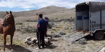 Detienen a un hombre que robó y mató caballos en la Estancia “Maria Elisa”.