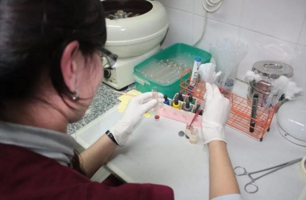 Corrientes se suma al programa nacional de donación de sangre de cordón umbilical. (Foto: El Litoral)