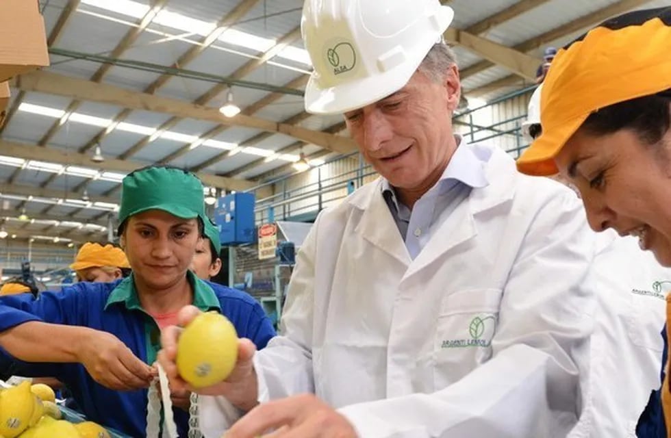 Mauricio Macri en Tucumán para encabezar el acto por el inicio de las exportaciones de limón a Estados Unidos.