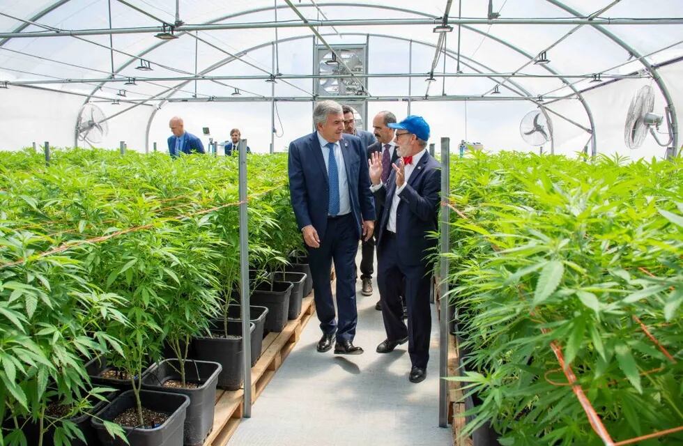 El embajador canadiense David Usher fue uno de los diplomáticos con asiento en el país que visitó el proyecto estatal de producción de derivados medicinales de cannabis que lleva adelante la sociedad estatal Cannava en la finca El Pongo.