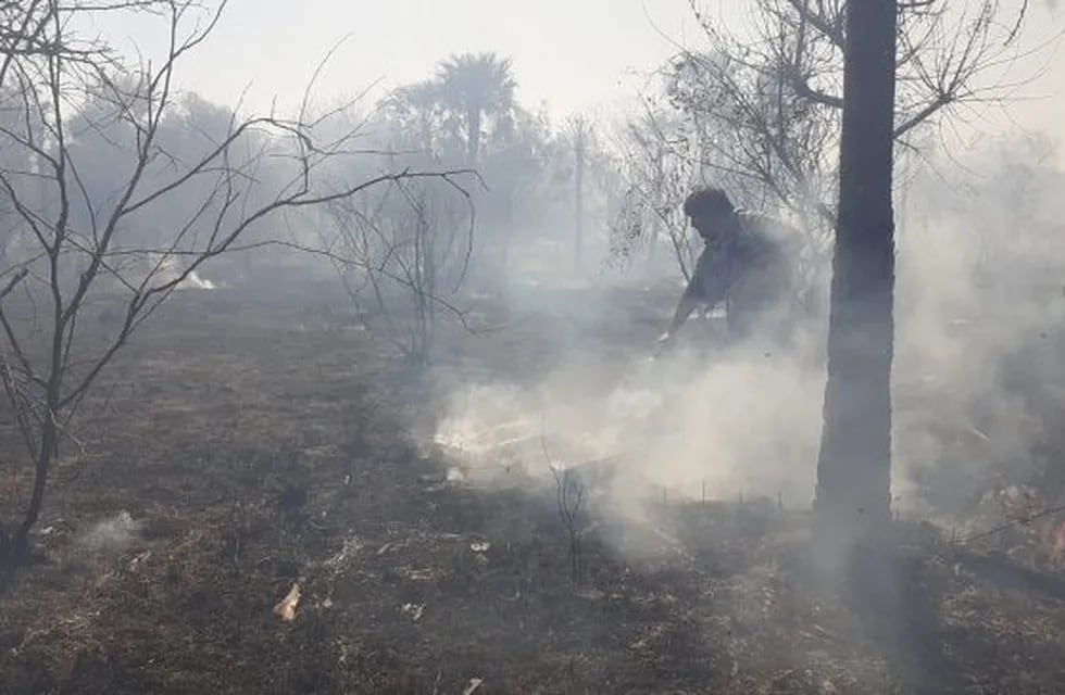 Incendios que arrasó con la Fauna y Flora en el Parque Provincial San Cayetano.