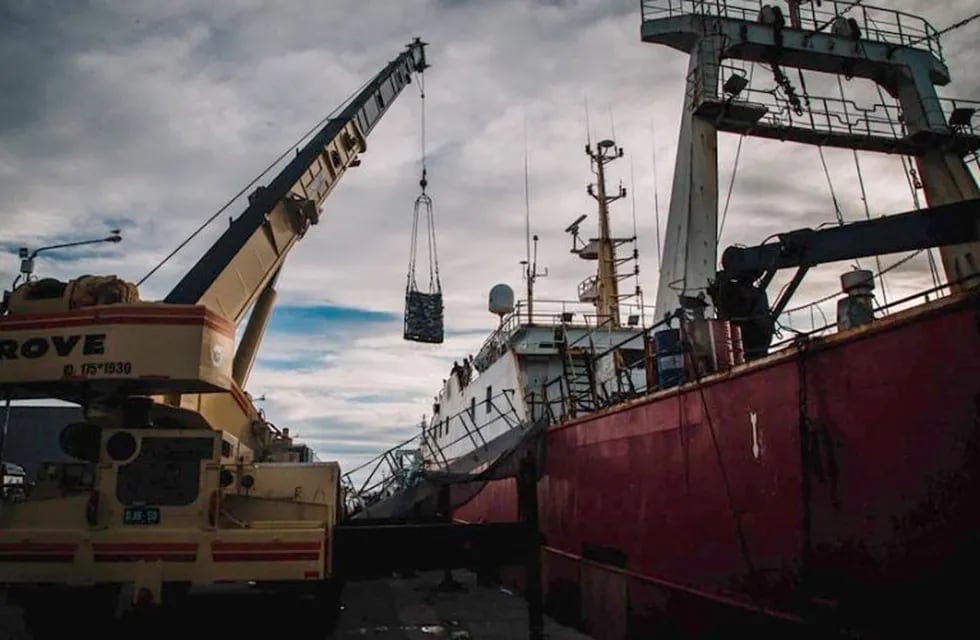 Puerto: se registró un incremento del 12% en las descargas de pesca (web)