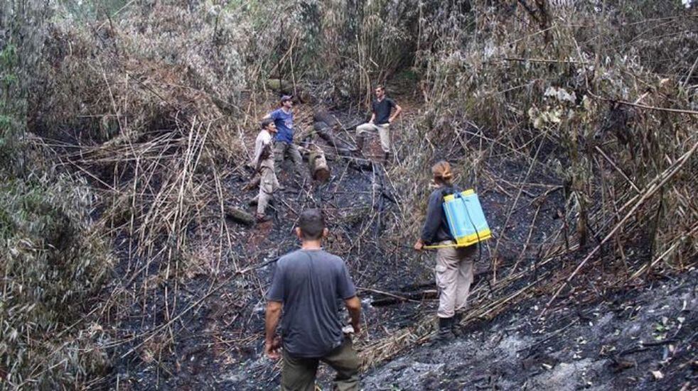400 hectáreas de la Reserva Guaraní en El Soberbio fueron consumidas por los incendios.