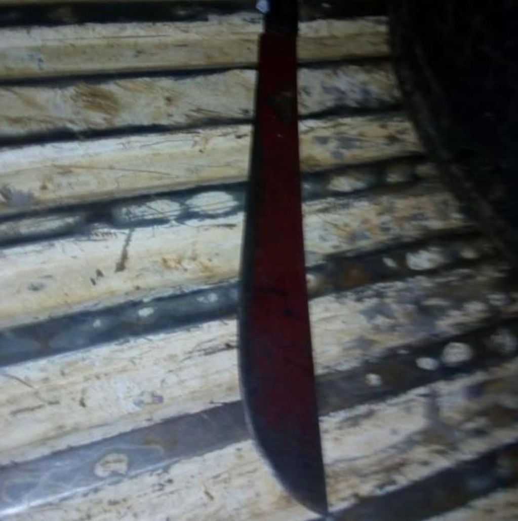 El machete utilizado durante la pelea en el Mercado Central. (Foto: El Territorio)