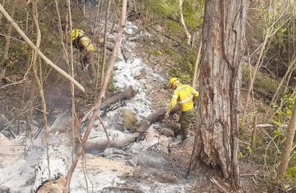 El fuego no cesa en las Yungas, Jujuy