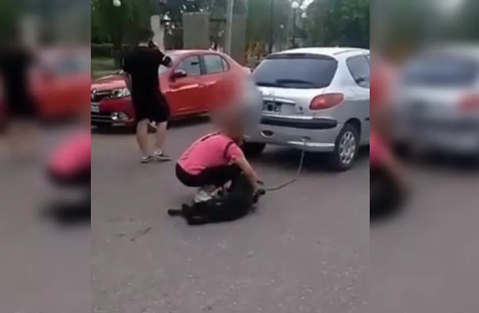 La mujer arrastró al perro por el asfalto.