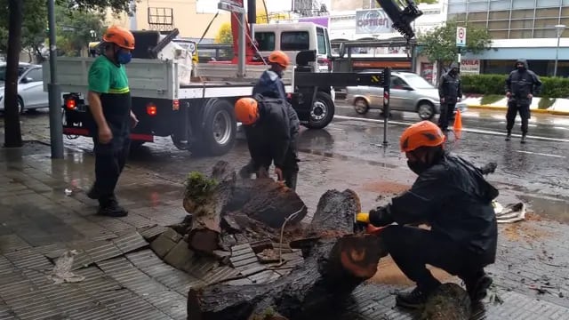 Daños que dejó la tormenta en Rosario. (Municipalidad de Rosario)