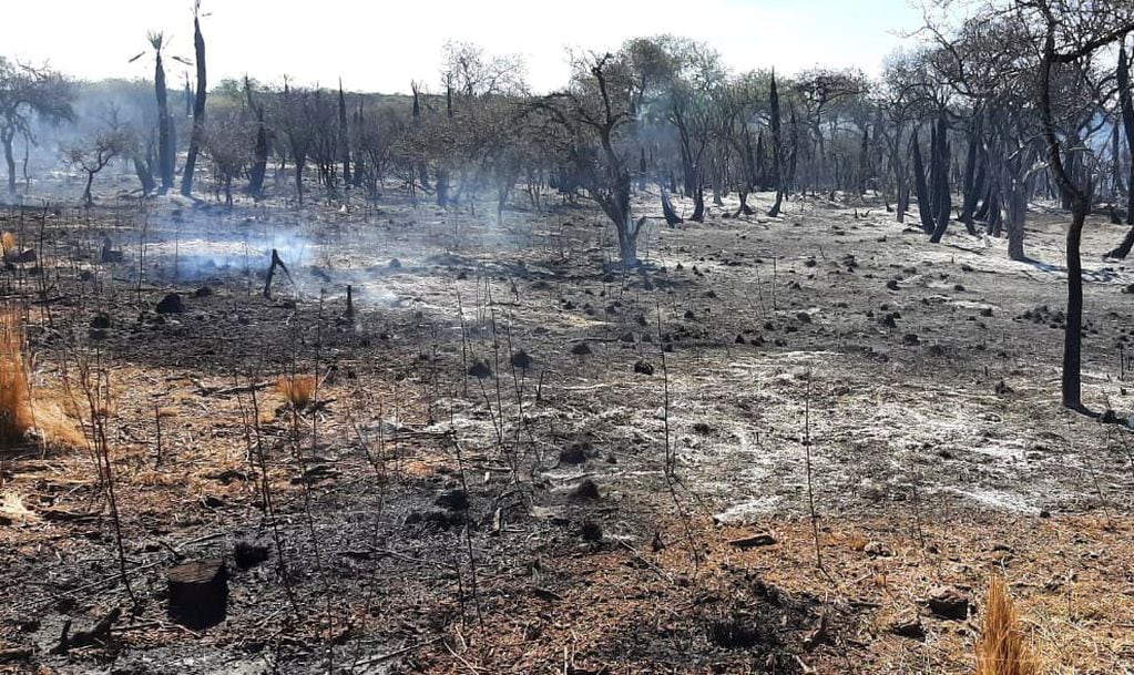 Peligro de incendio extremo en nueve provincias, con Córdoba como una de las más afectadas. (Foto gentileza Gobierno de Córdoba)