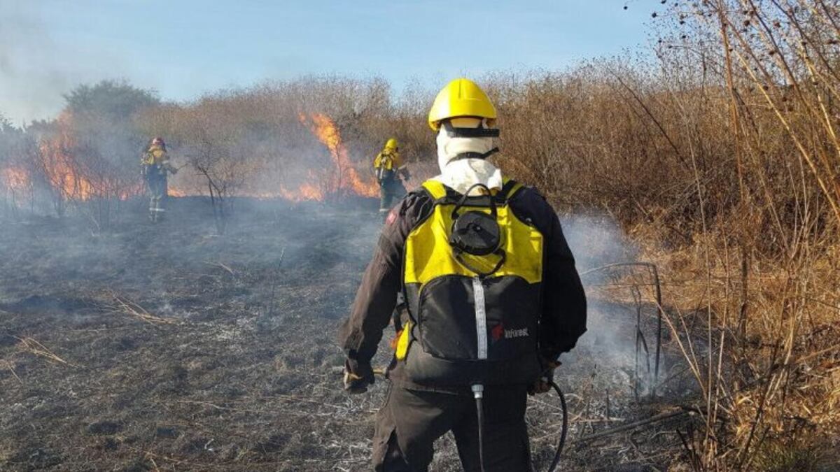 Durante agosto se registraron más de 250 incendios en Salta