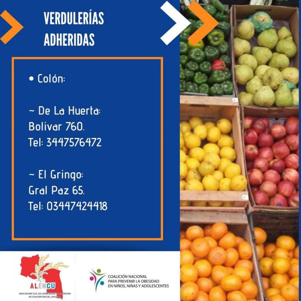 Campaña Nutrir en Red en Colón
Crédito: ALENCU