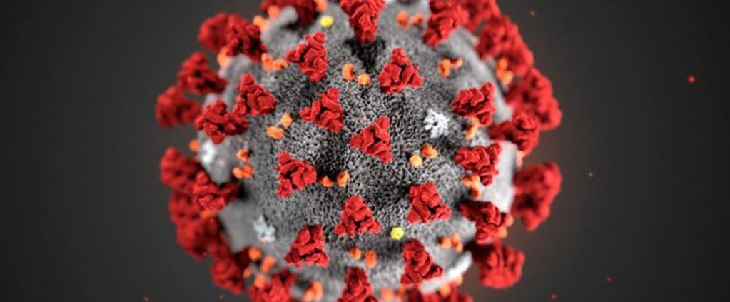La molécula del coronavirus (Foto: web)