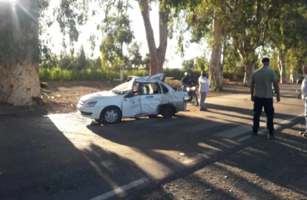 Un hombre perdió la vida luego de perder el control del auto que manejaba e impactar contra un árbol/ Diario Del Sur