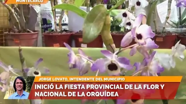 Con altas expectativas, inició en Montecarlo la Fiesta Nacional de la Orquídea y Provincial de la Flor