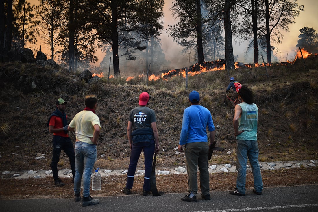Durante 2023 se incendiaron 40.803 hectáreas en Córdoba, según la CONAE