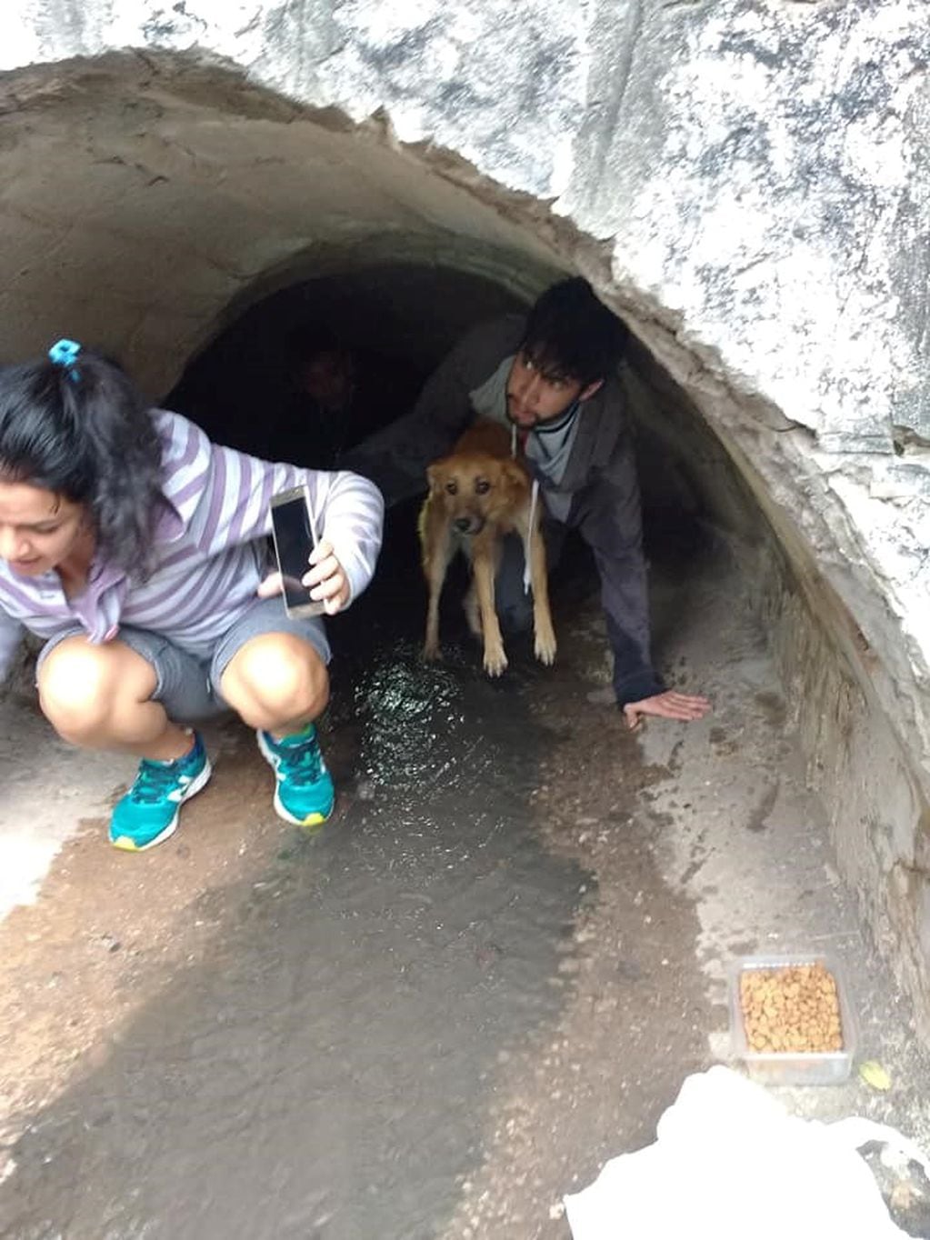 La perrita rescatada.