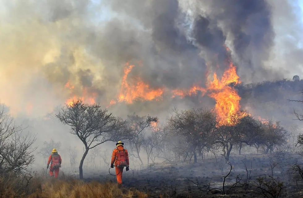 El fuego devoró más de 12 mil hectáreas en menos de una semana (archivo La Voz).