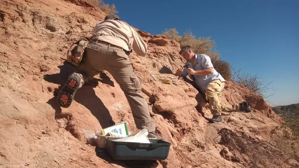 Descubren restos en Neuquén de un dinosaurio que vivió en la zona millones de años atrás.