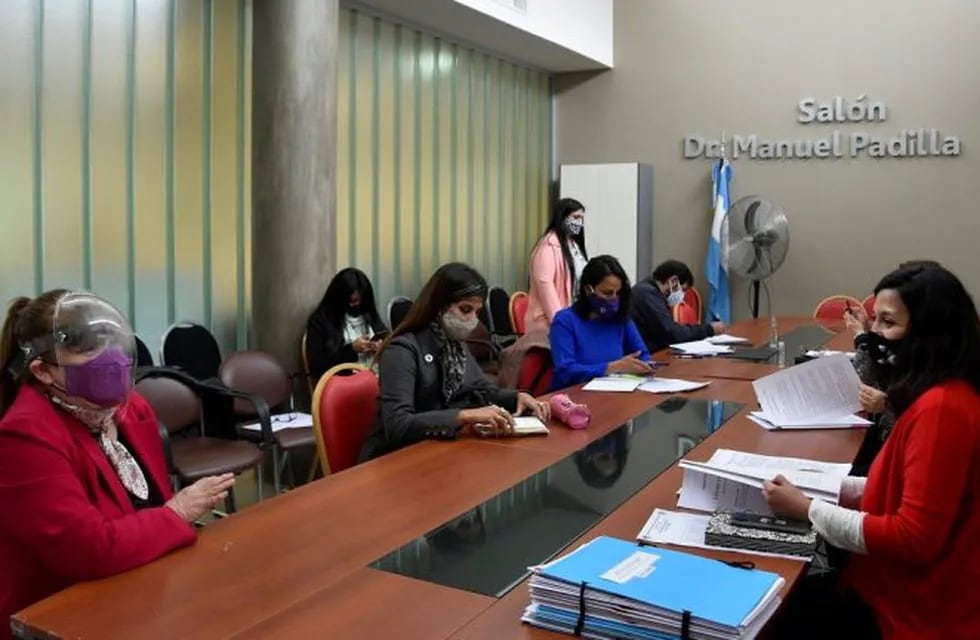 Reunión de la Comisión de Igualdad de Género de la Legislatura de Jujuy