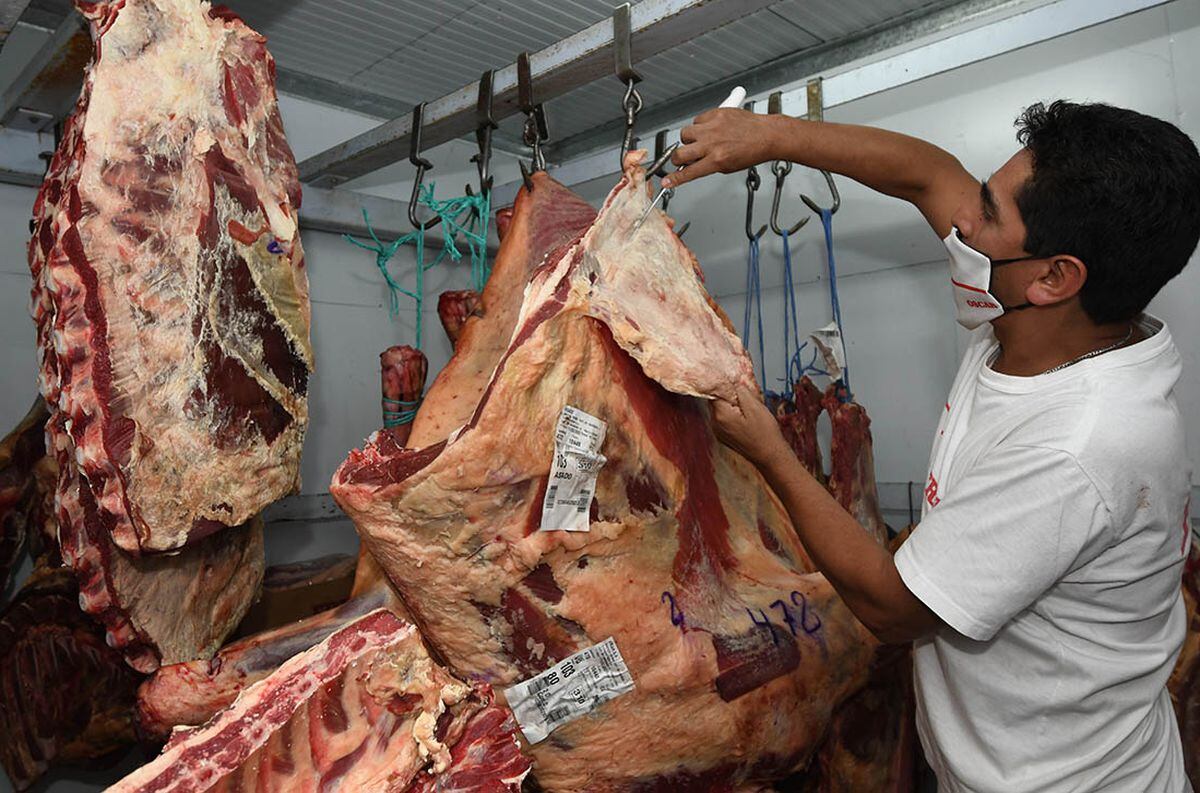 Aseguran que no habrá desabastecimiento de carne a pesar del paro del campo (Foto: José Gutiérrez)
