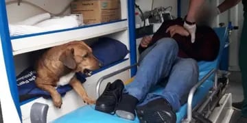 Posadas: se desvaneció en la vía pública y su perro lo acompañó en la ambulancia hasta el hospital