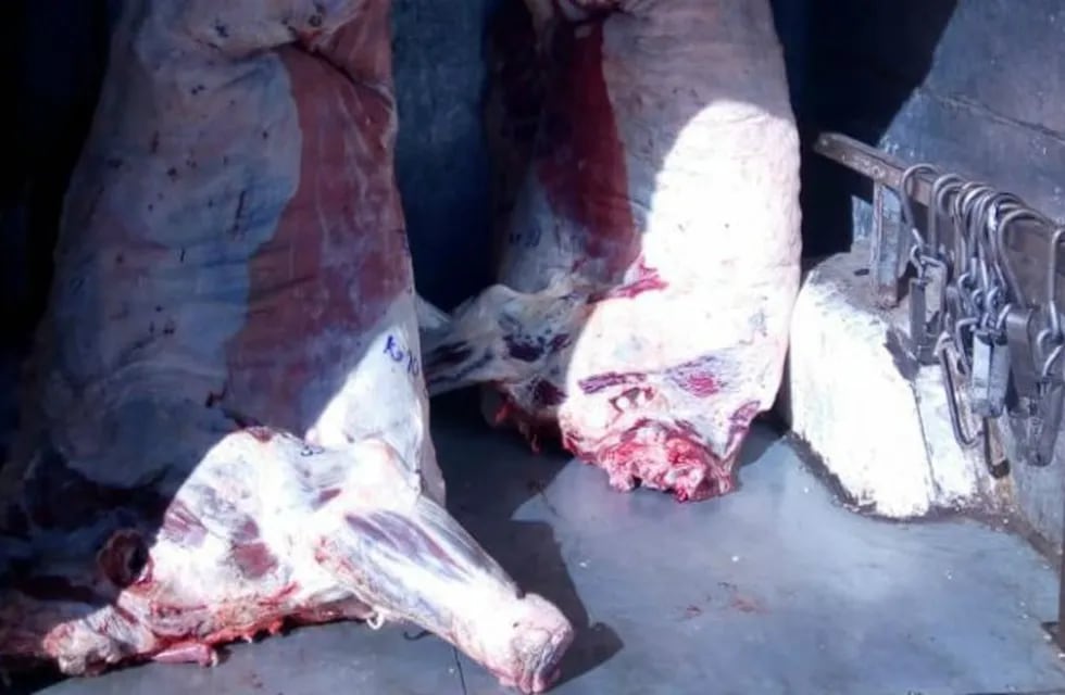 Secuestro de carne en Cruz del Eje.