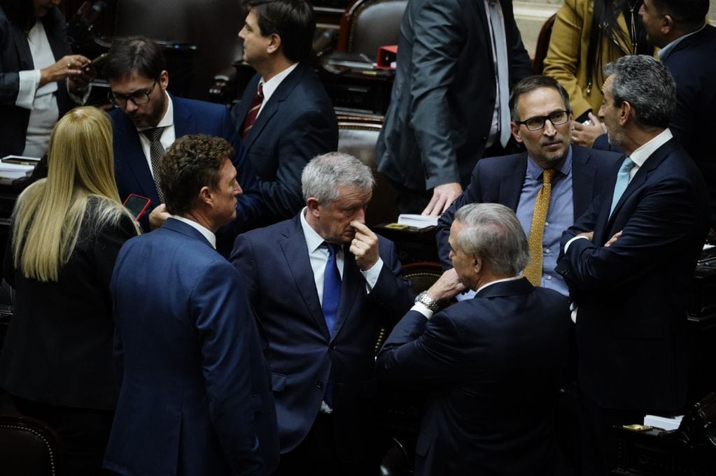 El debate de la Ley Bases en la Cámara de Diputados. Foto: Federico López Claro