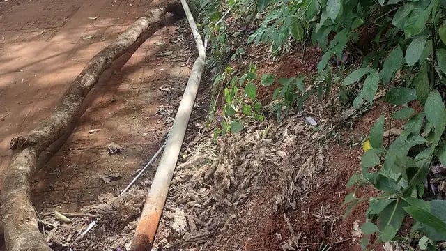 Robaron todas las farolas del Parque municipal Luis Honorio Rolón de Puerto Iguazú