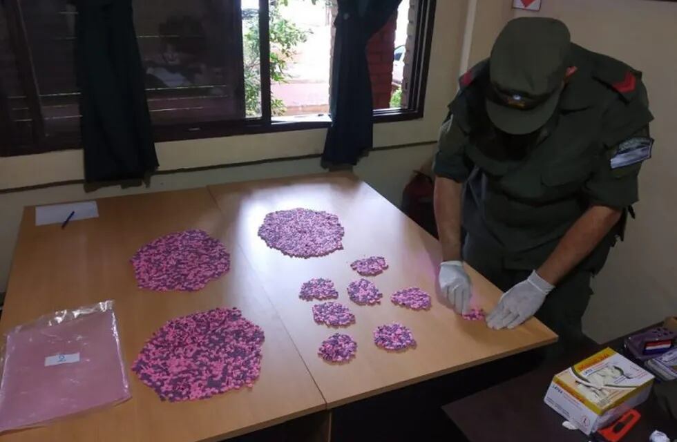 Casi 16 mil pastillas de estupefacientes en los paneles de un auto.