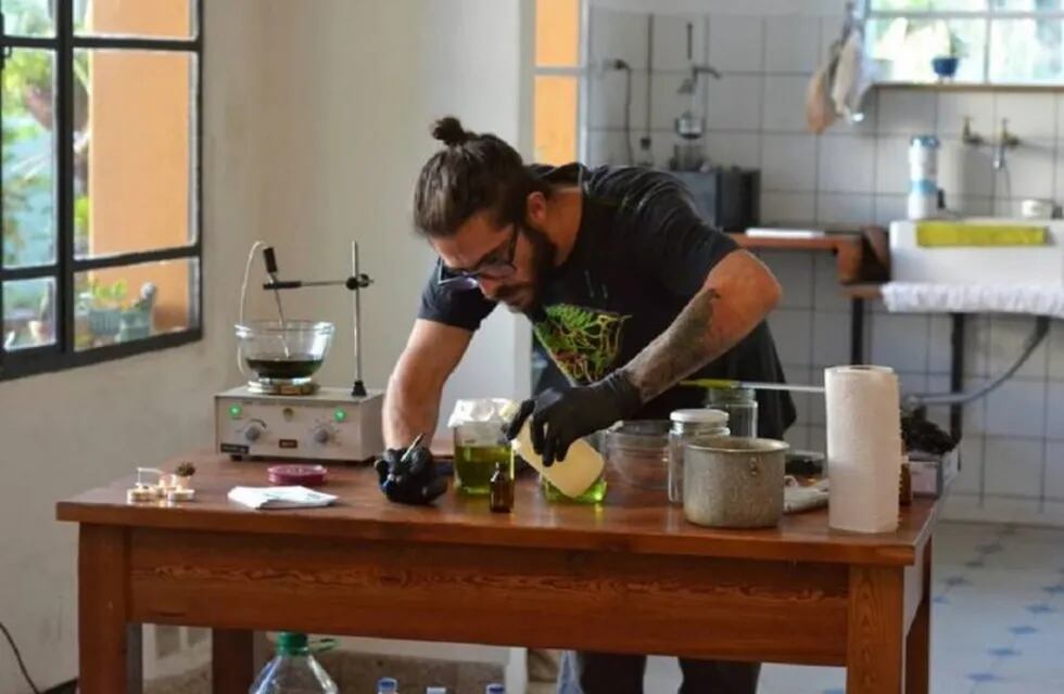 Procesaron a un hombre por dar talleres públicos sobre el cultivo de marihuana en Paraná