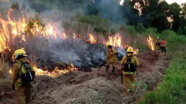 Advierten sobre la cantidad de focos ígneos en la capital provincial