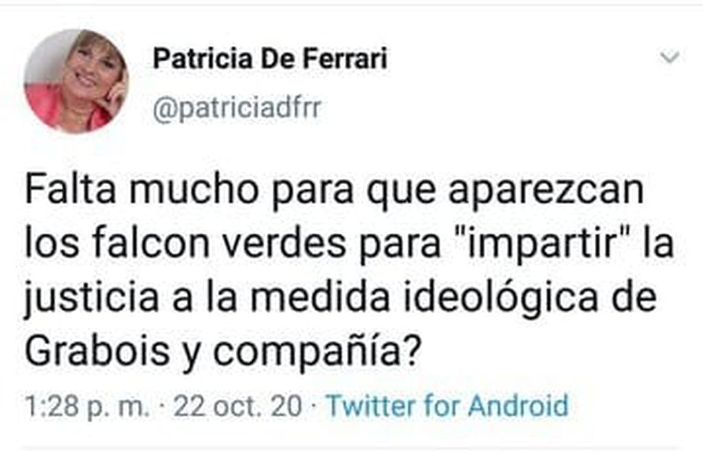 El polémico posteo de Patricia De Ferrari, legisladora de Juntos por el Cambio