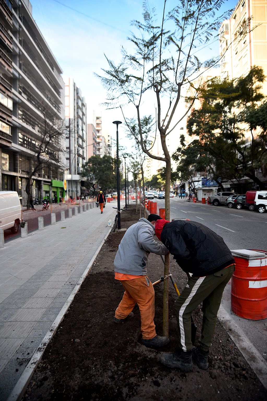 Comenzó la plantación de árboles en el tramo nuevo del bulevar Chacabuco. (Pedro Castillo / La Voz)