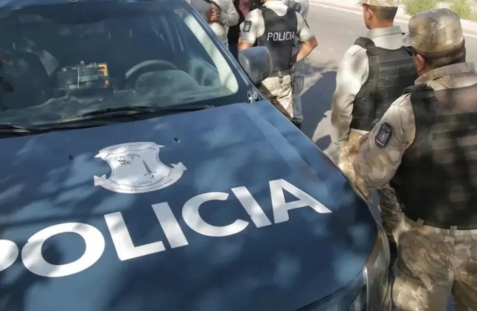 Detuvieron a dos hombres en Mendoza que transportaban carne de burro de forma ilegal (imagen ilustrativa)