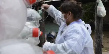 Lucha contra el dengue en Jujuy