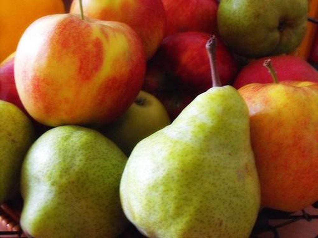 Producción de manzanas y peras en Neuquén (web).