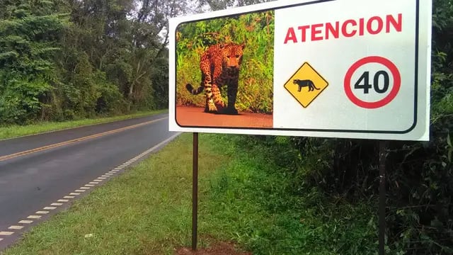 El Parque Nacional Iguazú tendrá más radares de tránsito